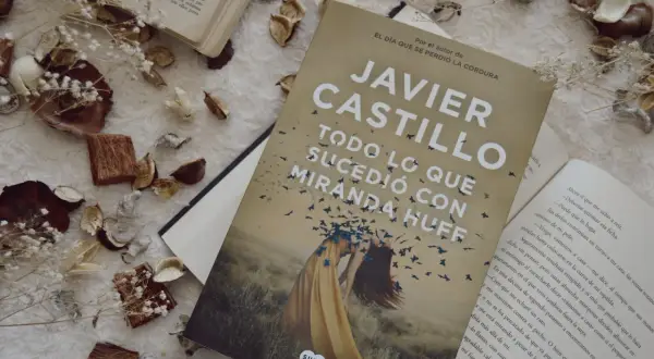 Libro "Todo lo que sucedió con Miranda Huff" de Javier Castillo, rodeado de elementos decorativos secos.